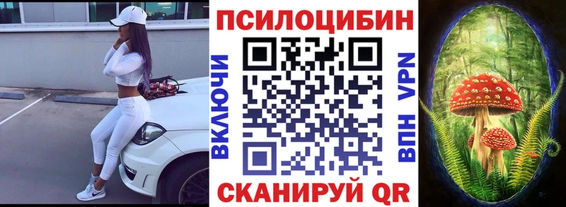 Псилоцибиновые грибы прущие грибы  Пустошка 